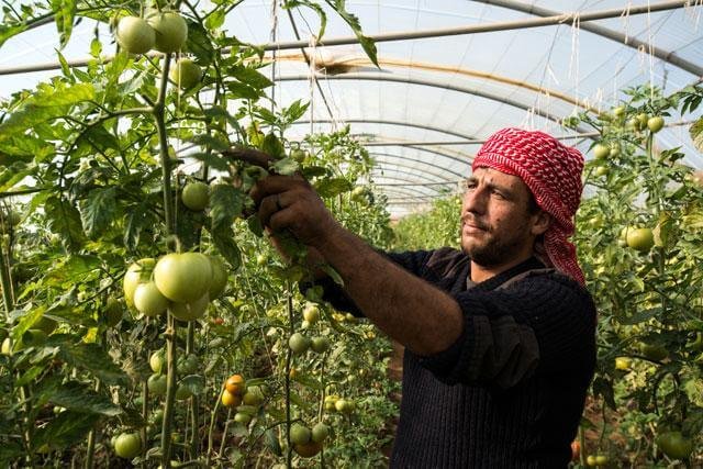 Jordan's Fresh Farm-to-Table Produce Adventure